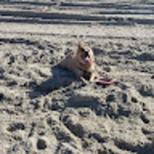 Meet your Posher, Arden